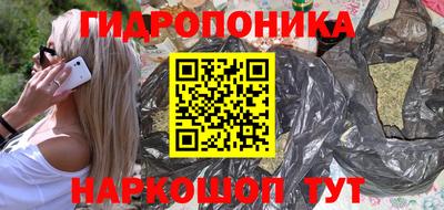шишки Норильск