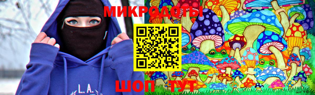 Галлюциногенные грибы Psilocybe Зеленогорск