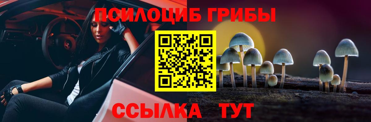 Псилоцибиновые грибы прущие грибы  Галлюциногенные грибы прущие грибы  Вход с VPN  Зеленогорск 